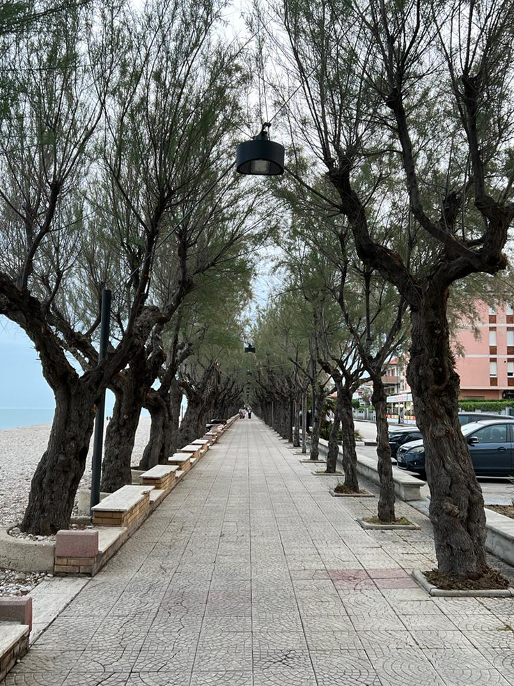 PHOTO-2022-05-09-07-58-59_4 dritta