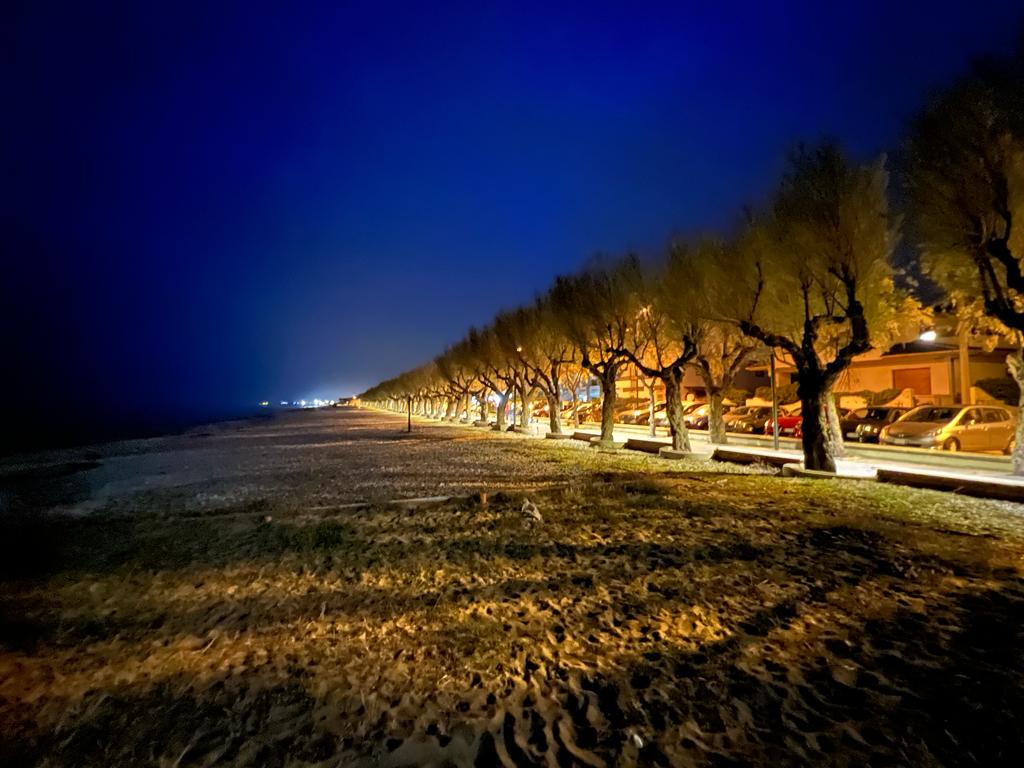 PHOTO-2022-05-09-08-05-47_10